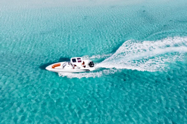 Private Speedboat Tour Hurghada to Dolphin House | 3 Hour Private Boat