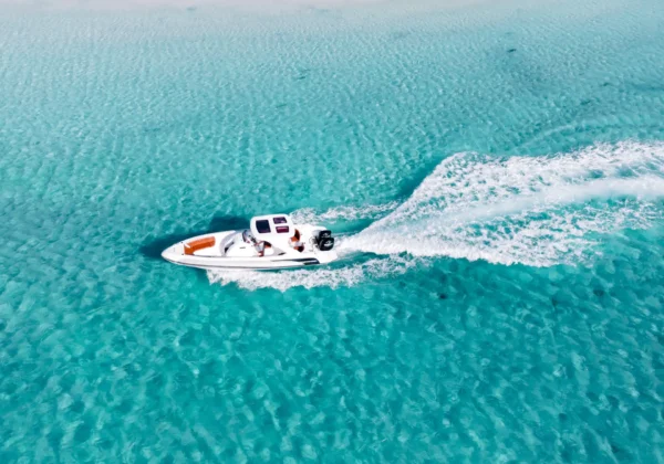 Private Speedboat Tour Hurghada to Dolphin House | 3 Hour Private Boat