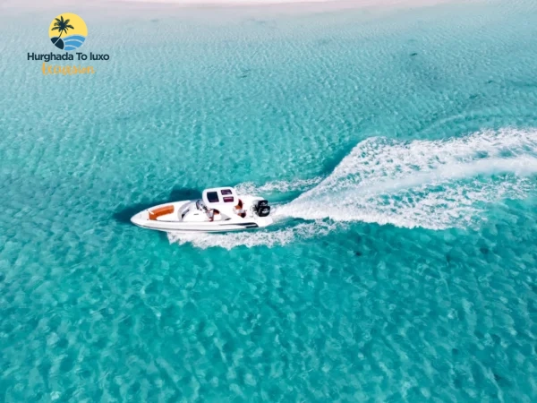 Private Speedboat Tour Hurghada to Dolphin House | 3 Hour Private Boat