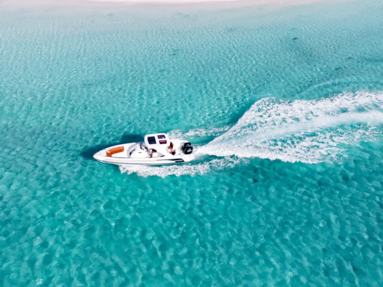 Private Speedboat Tour Hurghada to Dolphin House | 3 Hour Private Boat