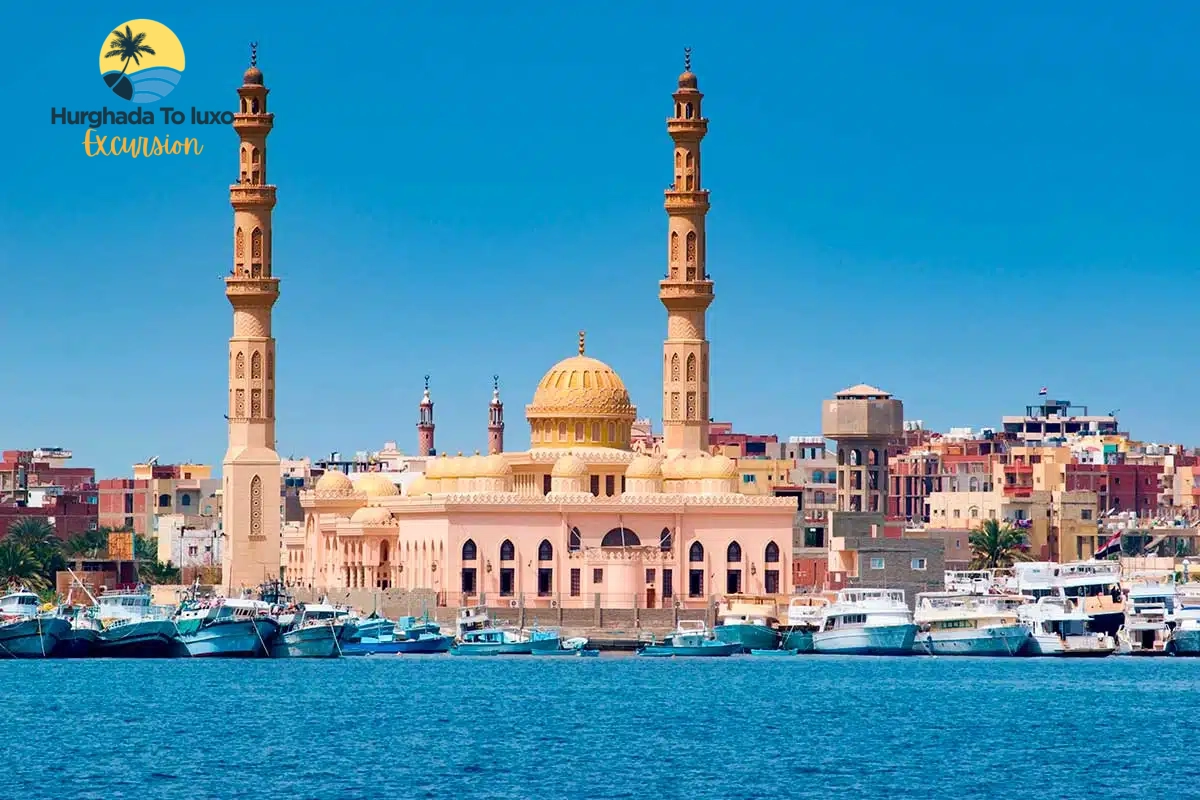 Marine Sightseeing Without Diving
